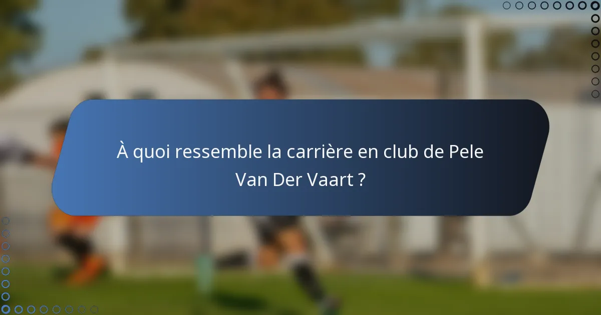 À quoi ressemble la carrière en club de Pele Van Der Vaart ?